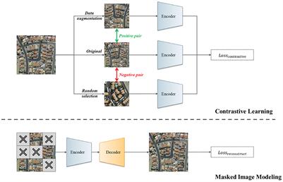 GSC-MIM: Global semantic integrated self-distilled complementary masked image model for remote sensing images scene classification